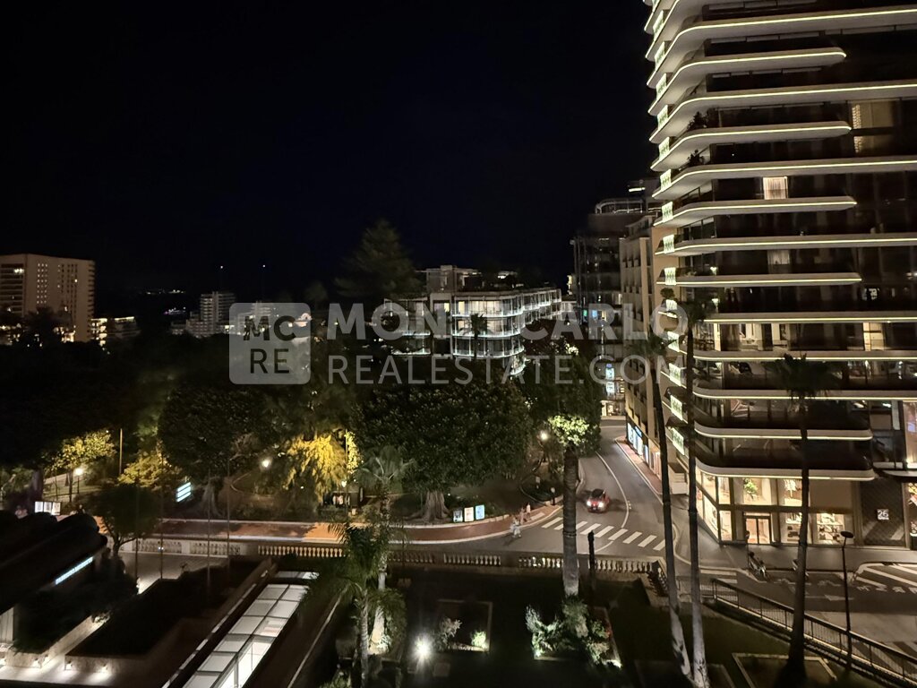PARK PALACE - FULLY RENOVATED 2-BED