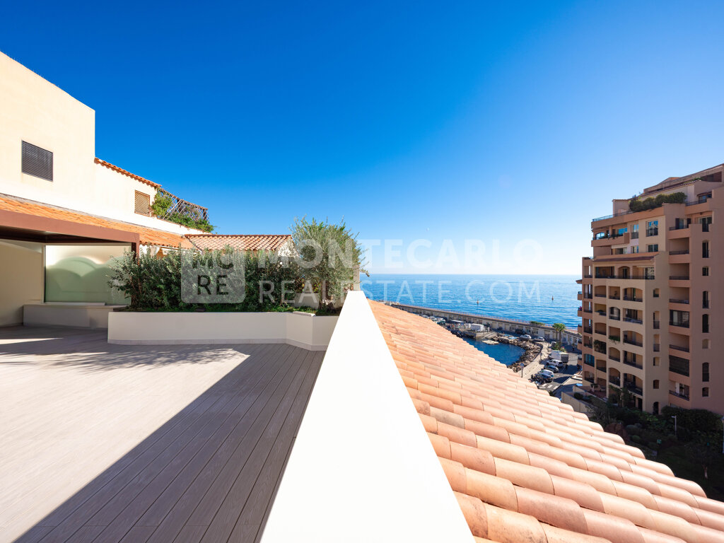 Rare Rooftoop completely renovated in Fontvieille