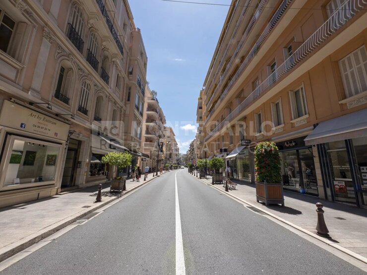 Commercial activities for sale in Monaco